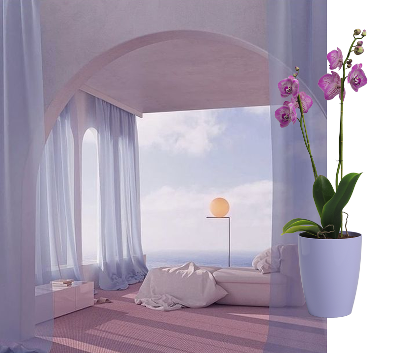 Lavender pots Artevasi