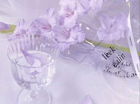 Lavender pots Artevasi