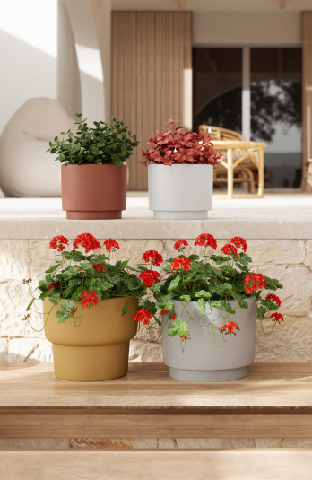 Yellow pots Artevasi