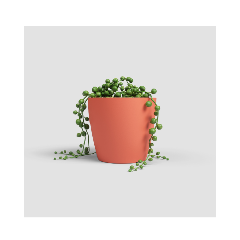 Coral pink Pot