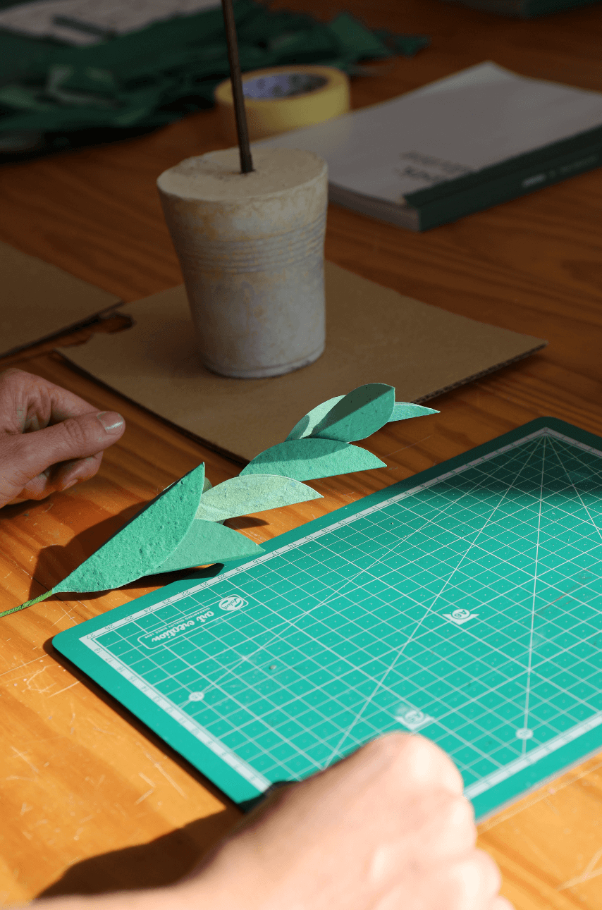 Papel que floresce: uma parceria com Oupas! Design