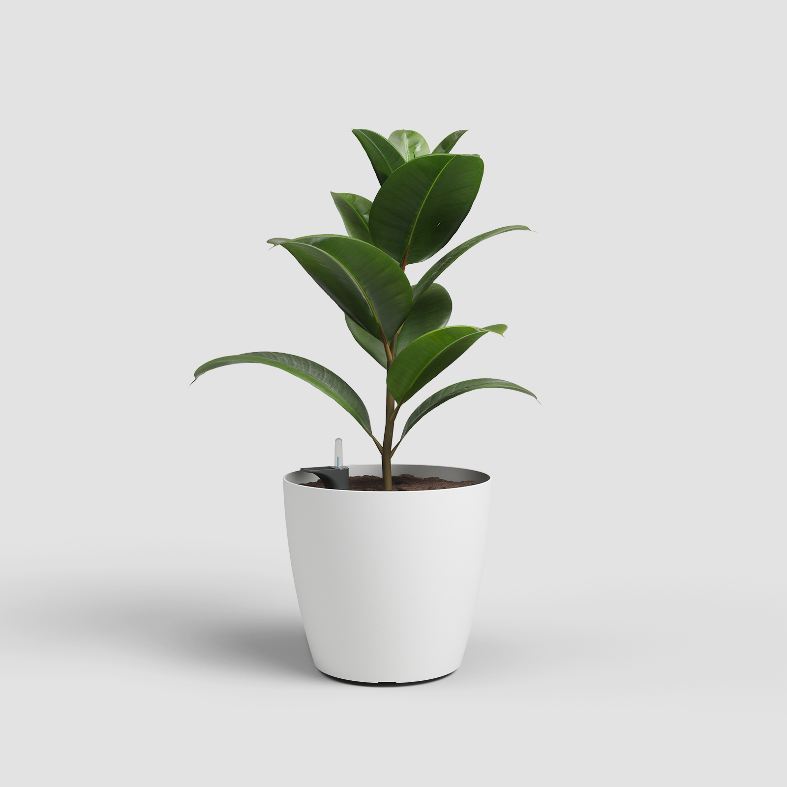 Vaso San Remo Self Watering System Mate